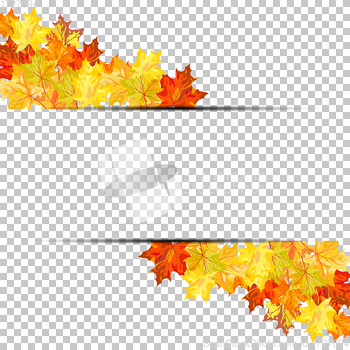 Image of Fall (Autumn) Maple Background