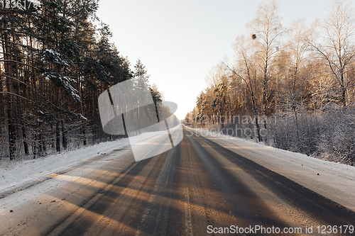 Image of Winter forest, close-up