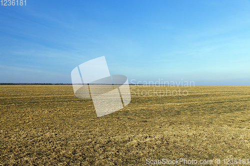 Image of agricultural field