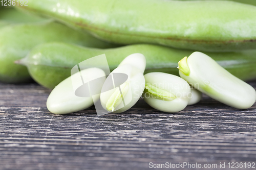 Image of green fresh bean