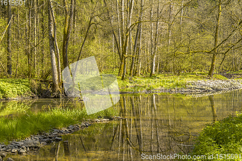 Image of waterside scenery at spring time