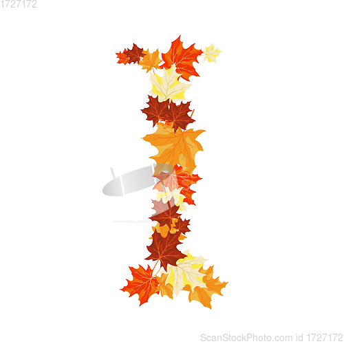 Image of Autumn Maples Leaves Letter