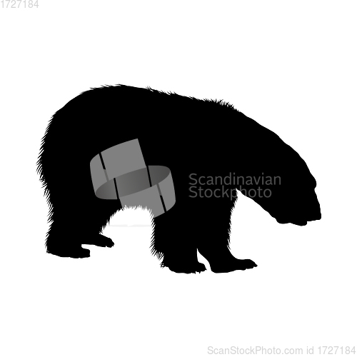 Image of Polar Bear Silhouette