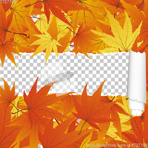 Image of Autumn maple seamless pattern with ripped stripe