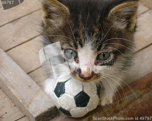 Image of little soccer player