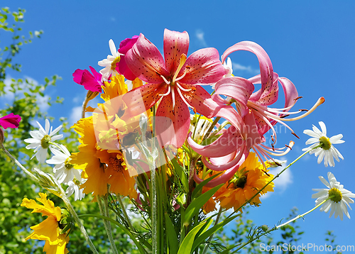 Image of Beautiful bright bouquet of colorful flowers