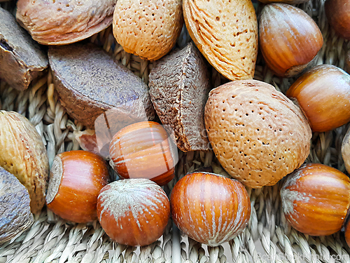 Image of Various nuts in the shell