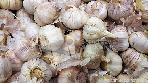 Image of Pile of garlic heads close-up in a supermarket,