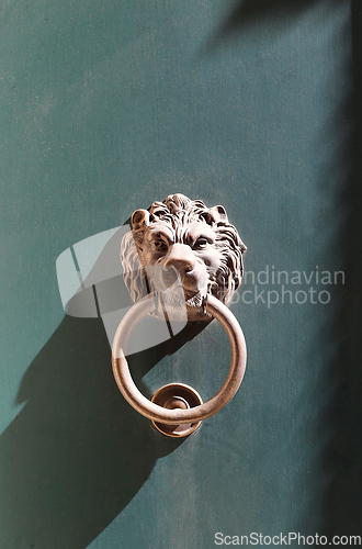 Image of Doorknocker with head of lion on a green wooden door