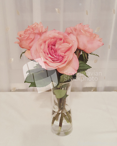 Image of Beautiful bouquet of roses in a vase 