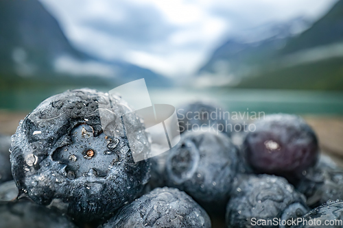 Image of Blueberry antioxidants on a wooden table on a background of Norw