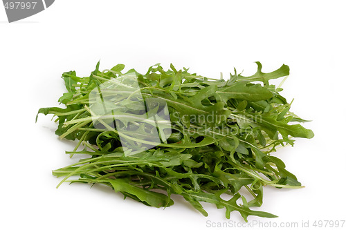 Image of Rucola