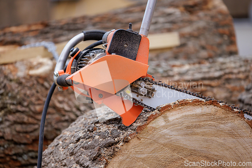 Image of Woodcutter saws tree with electric chain saw on sawmill. Chainsa