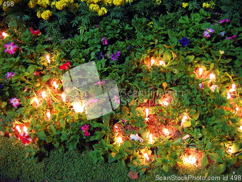 Image of Flower lights. Chiang Mai. Thailand