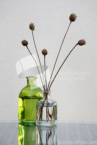 Image of Dried wildflowers and small bottles