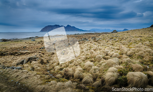 Image of desert landscape 