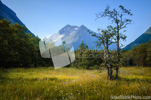 Image of landscape with sky