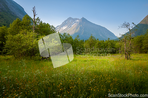 Image of landscape with sky