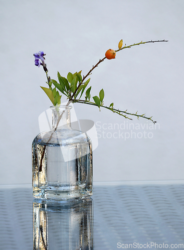 Image of Branch in a small bottle