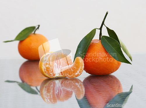 Image of Juicy ripe tangerines