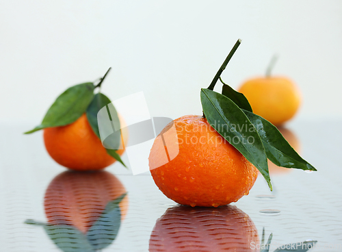 Image of Three ripe tangerines