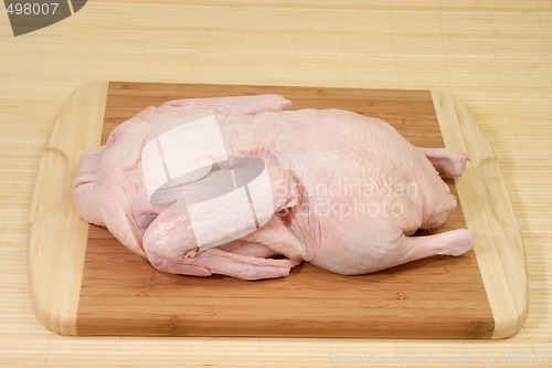 Image of Raw duck_1