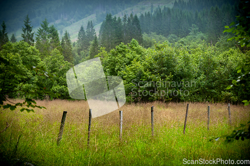 Image of landscape with trees