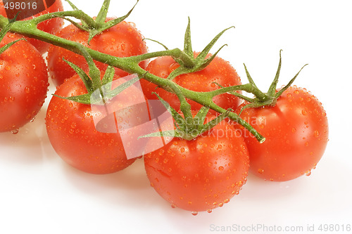 Image of Tomatoes