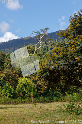 Image of Masoala National Park, Madagascar