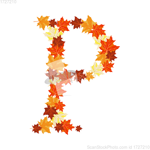 Image of Autumn Maples Leaves Letter