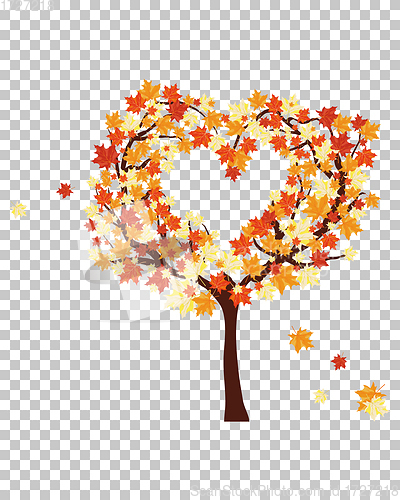 Image of Autumn maples