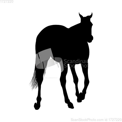 Image of Horse Silhouette