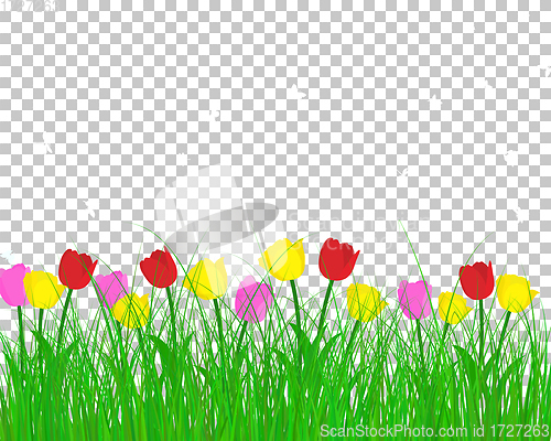 Image of Summer meadow background with tulips