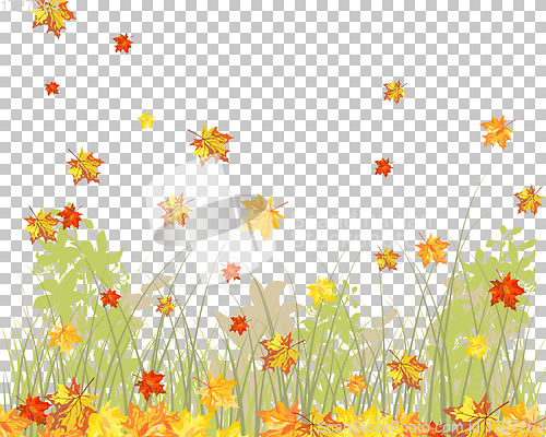 Image of Meadow autumn background