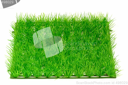 Image of Grass meadow_1