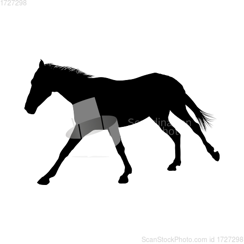 Image of Horse Silhouette