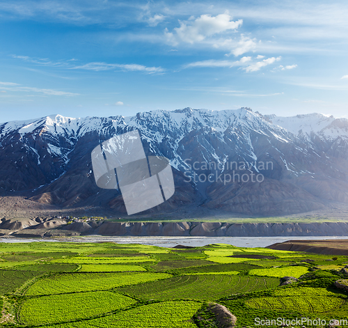 Image of Spiti Valley