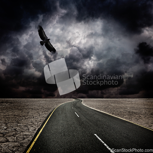 Image of Storm, bird, road in desert