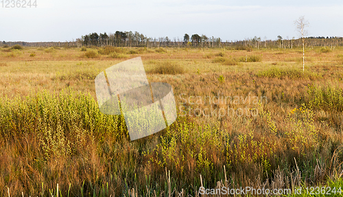 Image of spring landscape