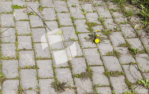 Image of old overgrown tile