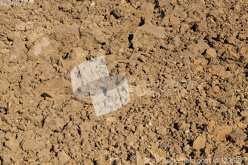 Image of plowed soil