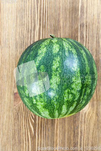 Image of one watermelon