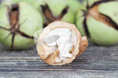Image of cracked ripened walnuts