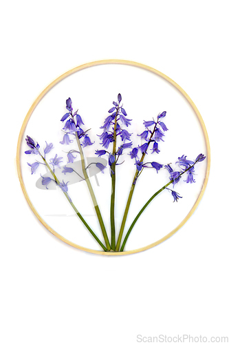 Image of Bluebell Wildflower Abstract Design Symbol  