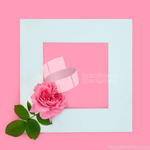Image of Pink Rose Flower Valentines Background Frame