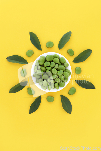 Image of Broad Bean Vegetable Health Food Abstract