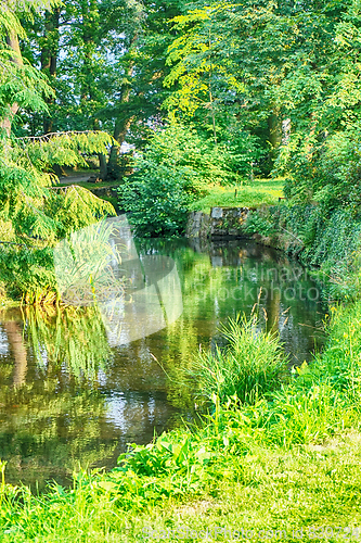 Image of river in the forest