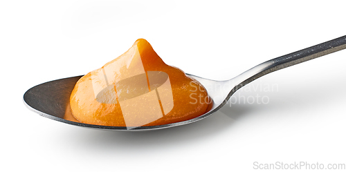 Image of spoon of vegetable puree