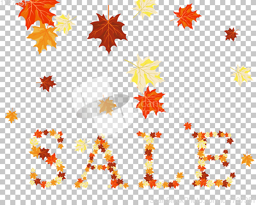 Image of Falling maple leaves