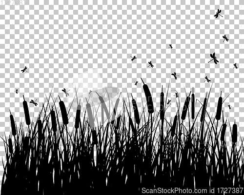 Image of meadow silhouettes